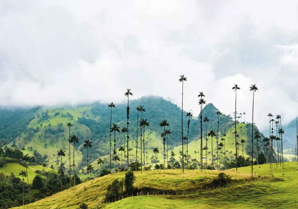 Eje Cafetero Quindío - Colombia